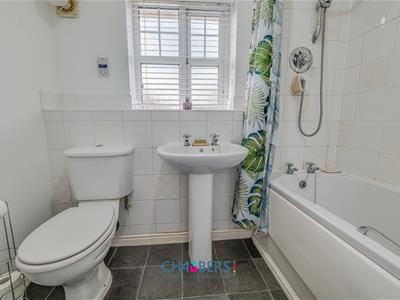 Picture 19